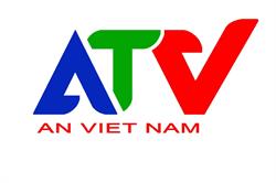 Công ty Cổ phần thương mại An Việt Nam