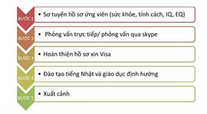 QUY TRÌNH TUYỂN CHỌN