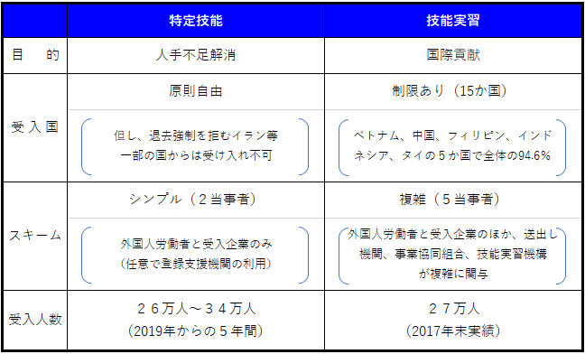 特定技能ビザと技能実習ビザ、どちらを選択すべき？
